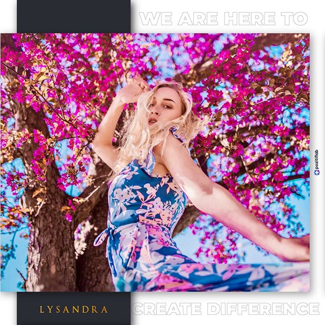 Lysandra Rugs